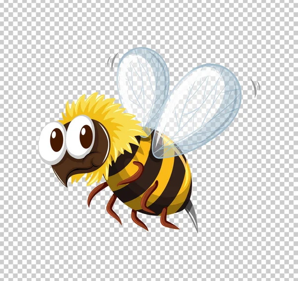 Abeja volando sobre fondo transparente — Vector de stock