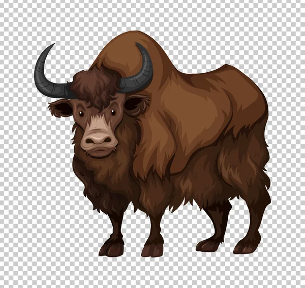 Buffalo aux cheveux longs — Image vectorielle