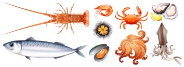 Deniz ürünleri farklı türleri