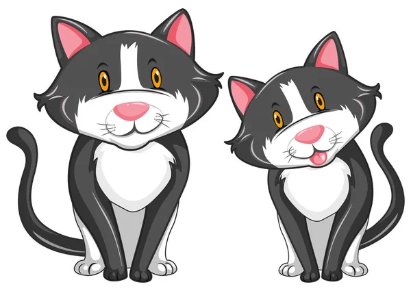 Две серые кошки со счастливым лицом — стоковый вектор