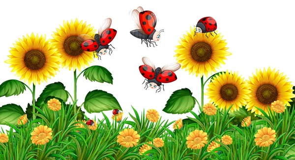 Ayçiçeği bahçede uçan ladybugs — Stok Vektör