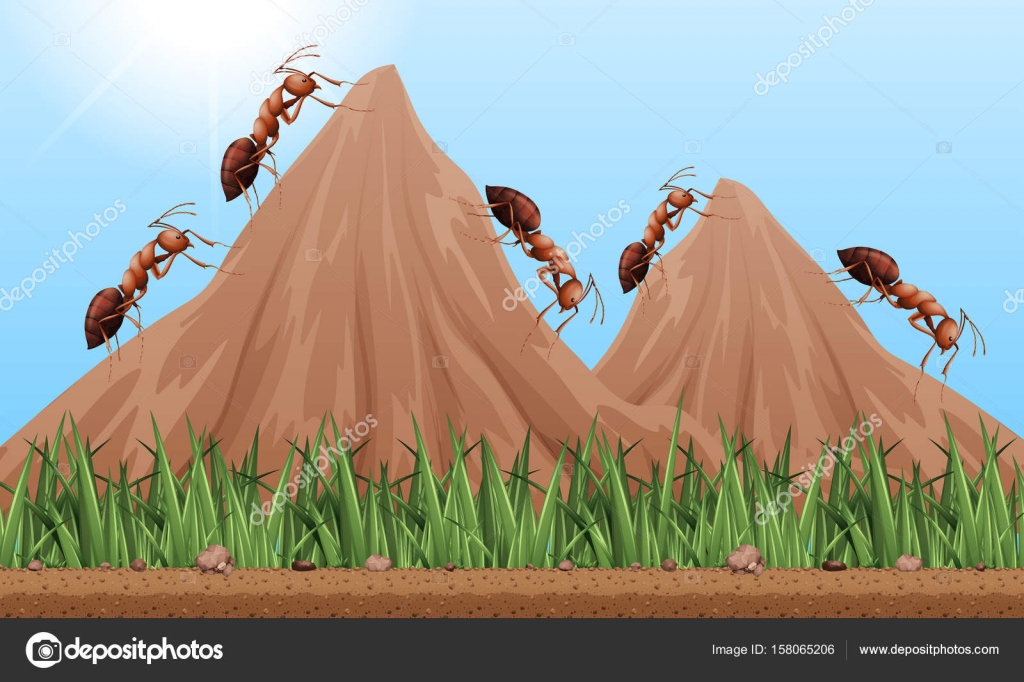 Поговорка про муравья. Поговорка про муравья. Пословицы про муравьев. Пословицы о муравьях. Поговорка муравей невелик, а горы копает.