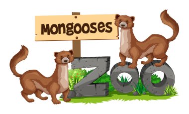 Mongooses standing on zoo sign clipart