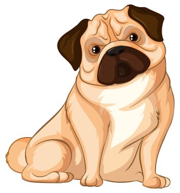 Beyaz arka plan üzerinde küçük pug köpek