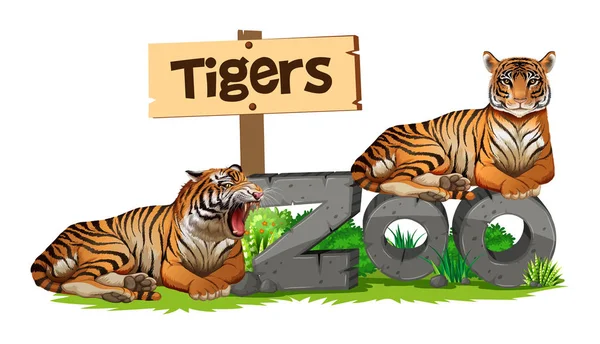 Dos tigres en señal del zoológico — Vector de stock