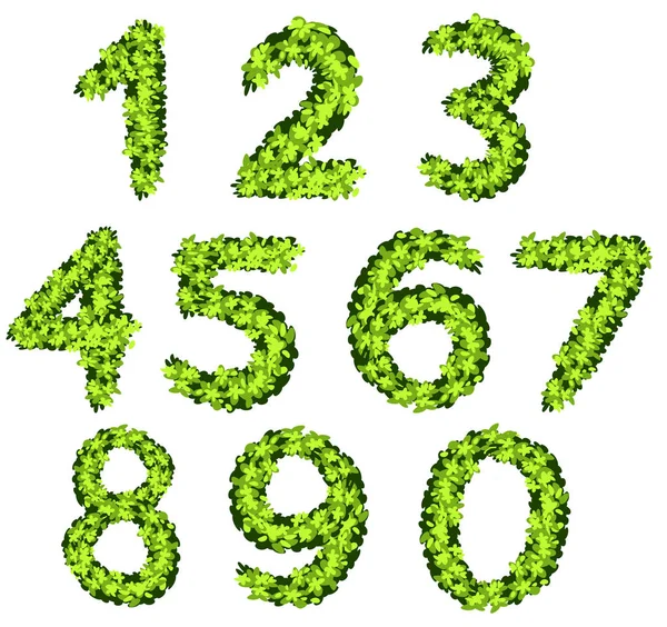Font design for numbers with grass texture — Stock Vector