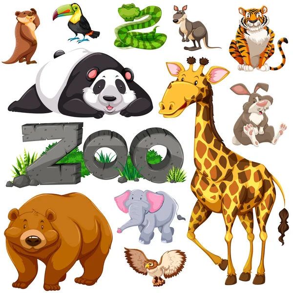 Zoo and different types of wild animals — Stock Vector
