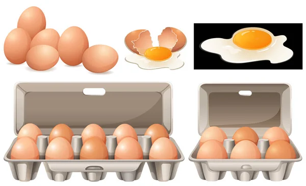 Rauwe eieren in verschillende pakketten — Stockvector