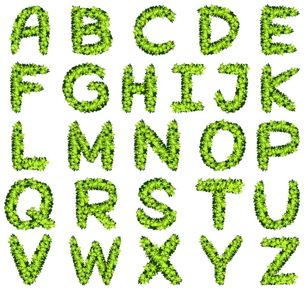 Diseño del alfabeto en hojas verdes — Vector de stock