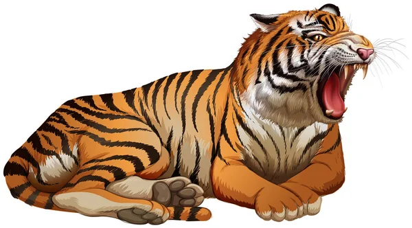 Tigre salvaje rugiendo sobre fondo blanco — Vector de stock