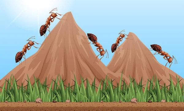 Many ants climbing up the mountains — Stock Vector