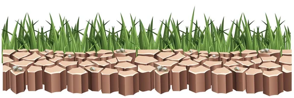 Droge en groen gras — Stockvector