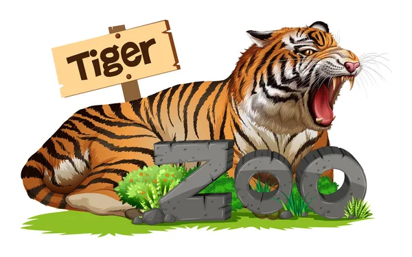 Tigre salvaje en el signo del zoológico — Vector de stock