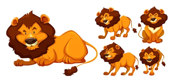 在五种不同动作的野生狮子 — 图库矢量图片