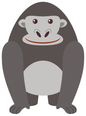 Beyaz arka planda gri goril