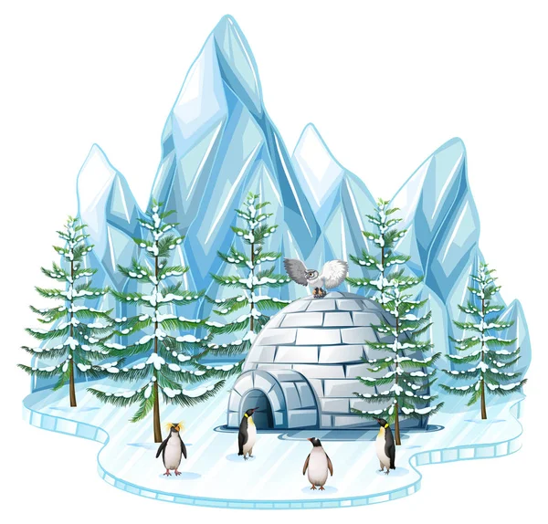 Pingouins et chouette près de l'igloo — Image vectorielle