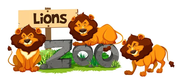 Three lions in the zoo — Stock Vector