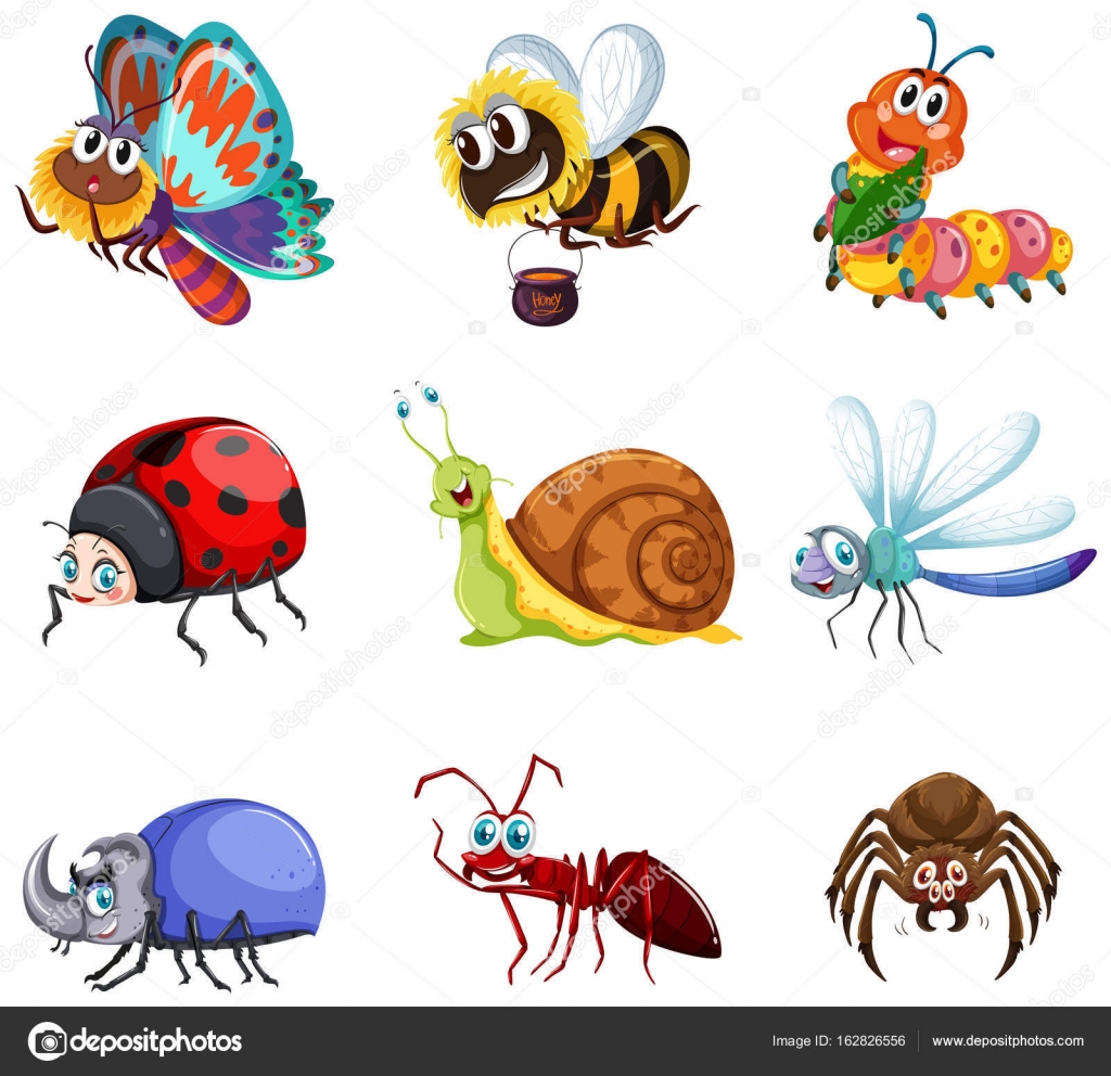 곤충의 종류 스톡 벡터 - ©blueringmedia 162826556, image size:1024x992