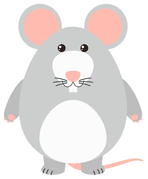 Gray mouse on white background — Stock Vector