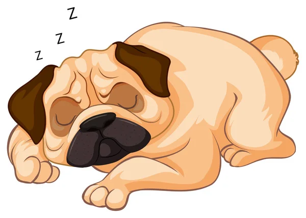 Beyaz arka plan üzerinde uyuyan küçük köpek — Stok Vektör