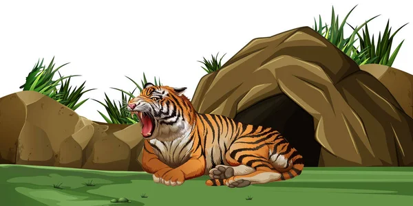 Tiger sleeping in front of the cave — Stock Vector