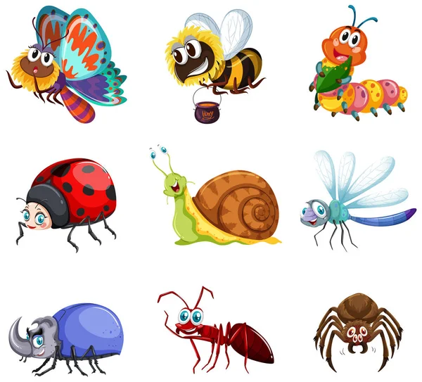 Diferite tipuri de insecte — Vector de stoc