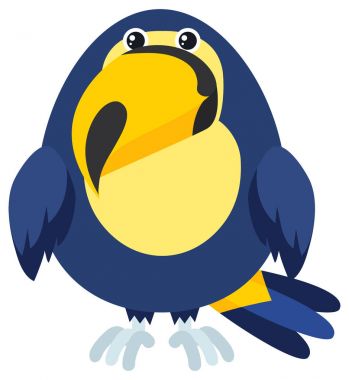 Mutlu yüz kuşla Toucan
