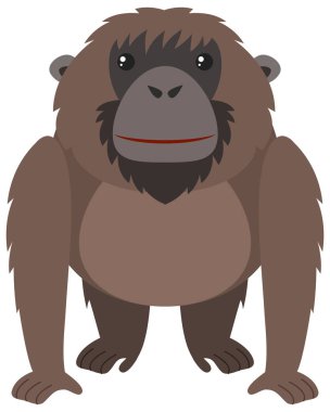 Mutlu yüz ile kahverengi orangutan