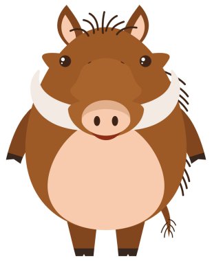 Beyaz arka plan üzerinde yaban domuzu