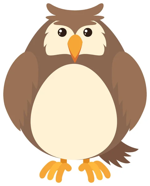 白色背景上的棕色猫头鹰 — 图库矢量图片