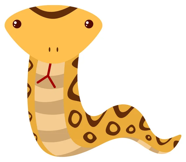 Rattle snake on white background — Stock Vector