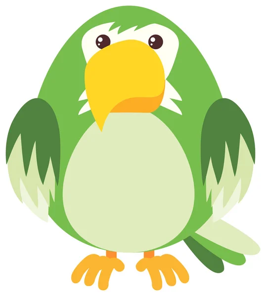 Loro verde sobre fondo blanco — Vector de stock