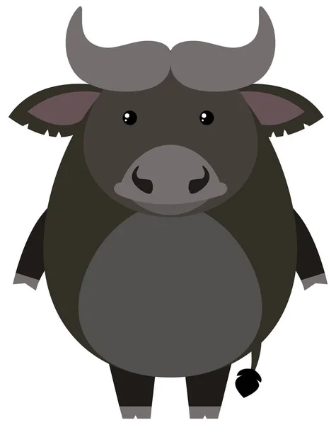 Lindo búfalo sobre fondo blanco — Vector de stock