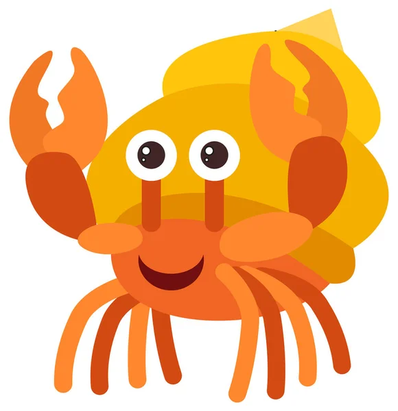 Hermit crab on white background — Stock Vector