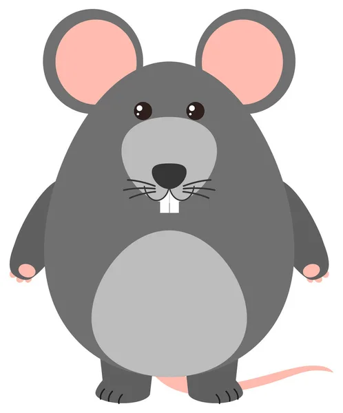 Gray rat on white background — Stock Vector