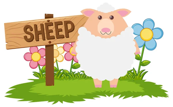 Çiftlikteki beyaz koyun — Stok Vektör