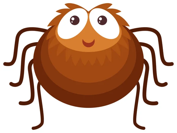 Brown spider on white background — Stock Vector