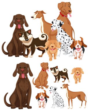 Adl tip-in köpek