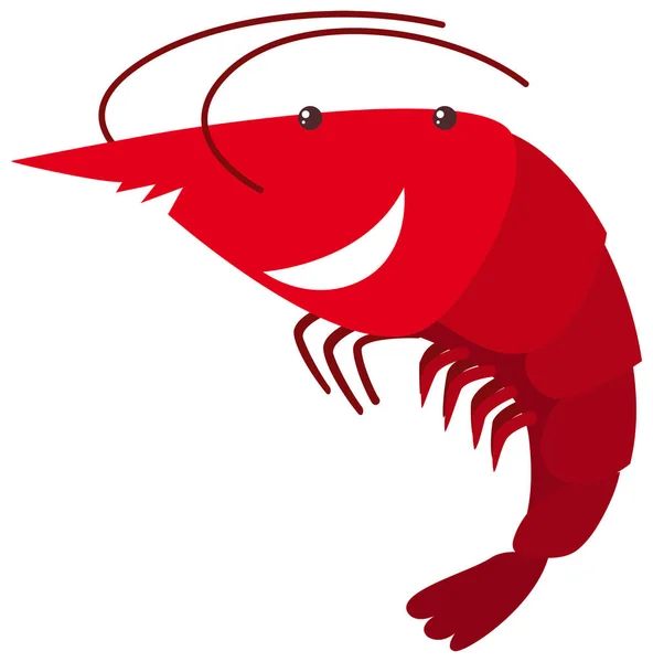 Crevettes rouges sur fond blanc — Image vectorielle