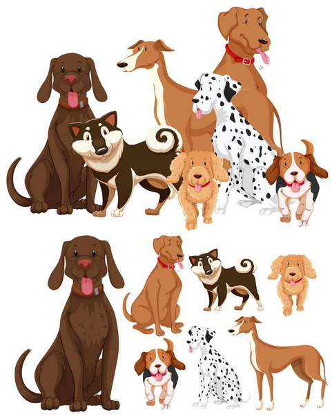 Muchos tipos de perros — Vector de stock