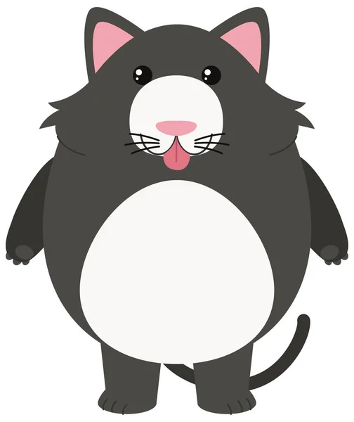 Gray cat on white background — Stock Vector