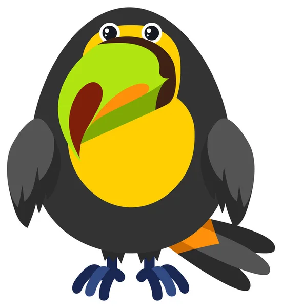 Toucan pták na bílém pozadí — Stockový vektor