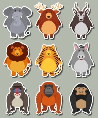 Etiket tasarımı ile birçok vahşi hayvanlar