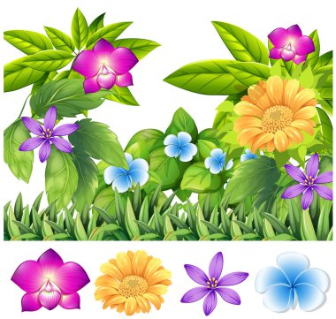 Tropikal bahçe içinde renkli çiçekler