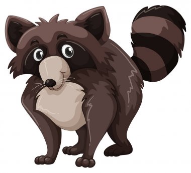 Rakun kahverengi kürklü