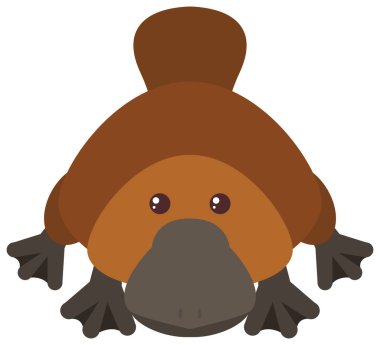 Beyaz arka plan üzerinde ornitorenk