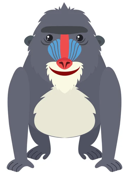Baboon with happy face — Stock Vector