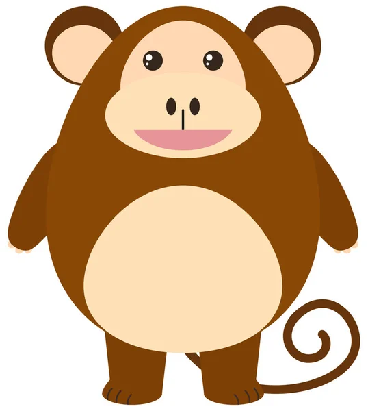 白色背景的可爱猴子 — 图库矢量图片