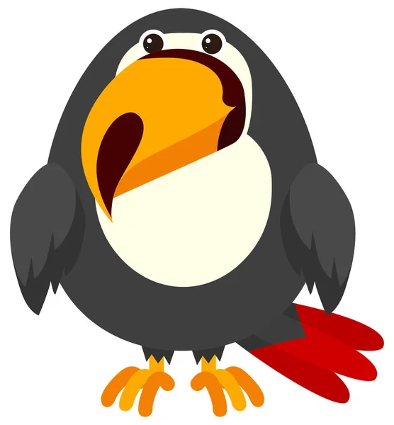 Toucan madár fehér háttér — Stock Vector