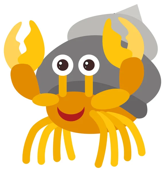 Hermit Crab di latar belakang putih - Stok Vektor